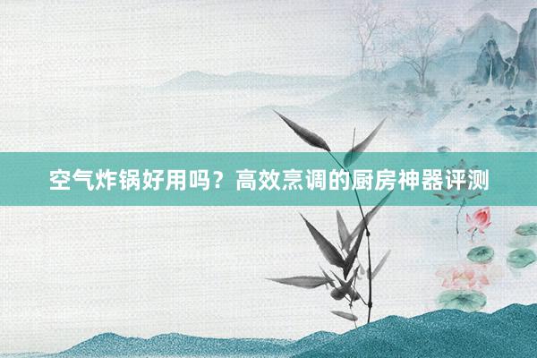 空气炸锅好用吗？高效烹调的厨房神器评测